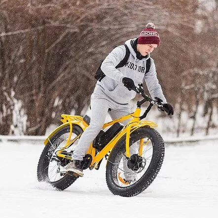 Велогибрид VOLTECO BIGCAT DUAL